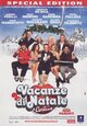 DVD Vacanze di Natale a Cortina