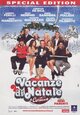 Vacanze di Natale a Cortina