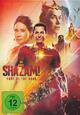 DVD Shazam! 2 - Fury of the Gods [Blu-ray Disc]