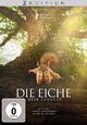 Die Eiche - Mein Zuhause Die Eiche - Mein Zuhause