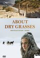 About Dry Grasses