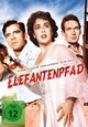 Elefantenpfad Elefantenpfad
