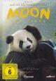 Moon, der Panda