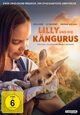 DVD Lilly und die K�ngurus