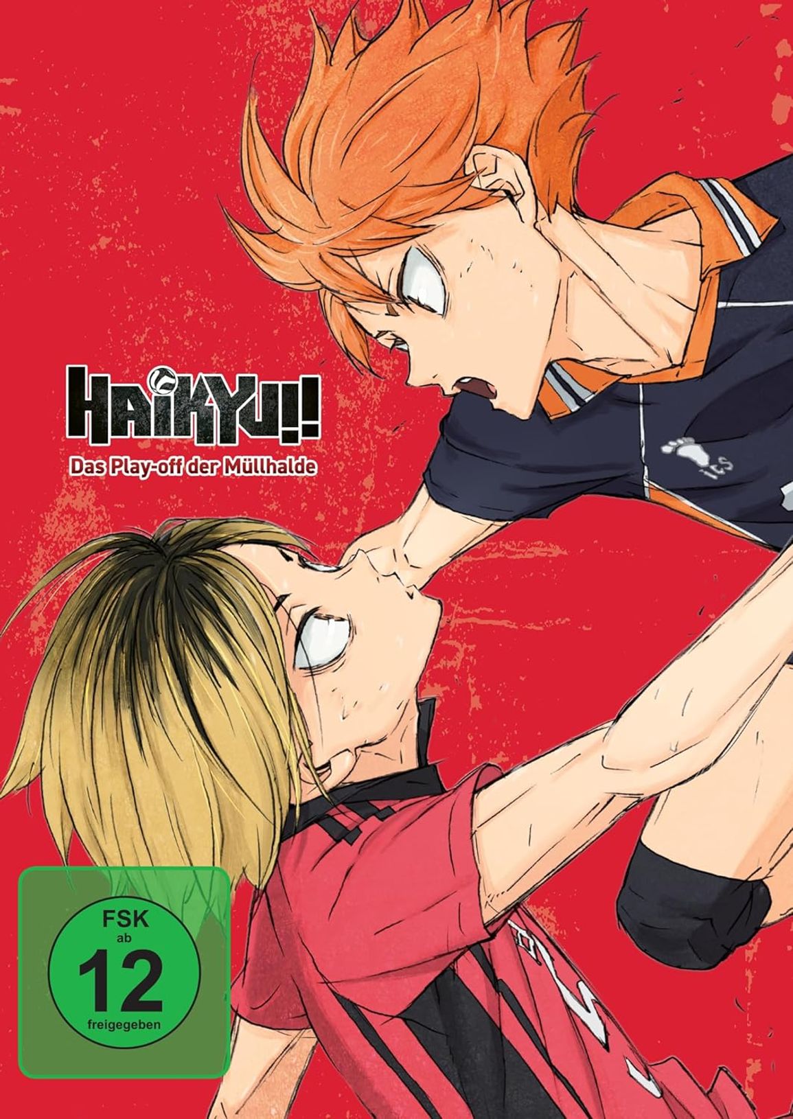 Haikyu!! - Das Play-off der Müllhalde